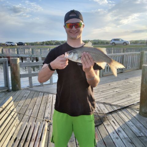 TheoFrerichs is Single in Pierre, South Dakota, 4