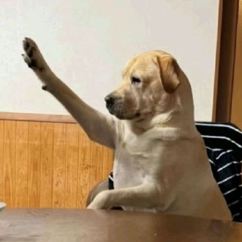 Mydear_anaa is Single in David, Chiriqui, 2