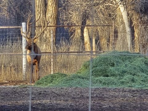 Jeeping4fun is Single in GRAND JUNCTION, Colorado, 6