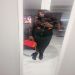 Bolanle6 is Single in WOODBRIDGE, Ontario