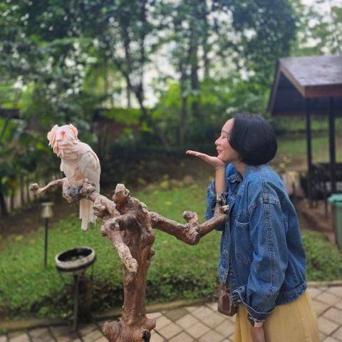 Jessiejess1 is Single in Sintang, Kalimantan Barat, 4