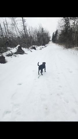 Canada420 is Single in Stratford, Prince Edward Island, 3