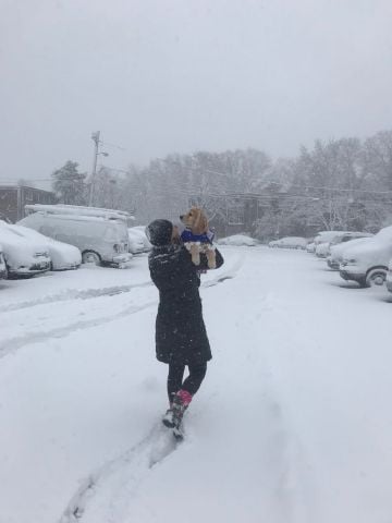 flor97 is Single in Natick, Massachusetts, 3