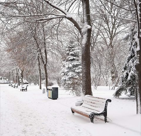 flor97 is Single in Natick, Massachusetts, 5