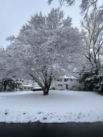 flor97 is Single in Natick, Massachusetts, 6