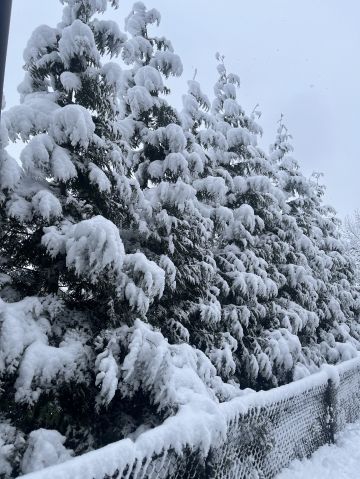 flor97 is Single in Natick, Massachusetts, 7