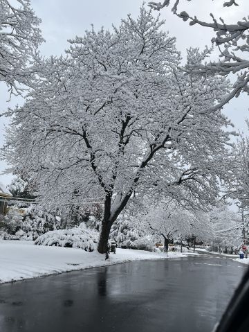 flor97 is Single in Natick, Massachusetts, 8