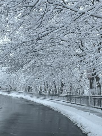 flor97 is Single in Natick, Massachusetts, 9