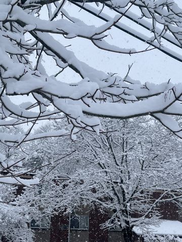 flor97 is Single in Natick, Massachusetts, 10