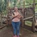 JessicaS99 is Single in Beldon, Western Australia
