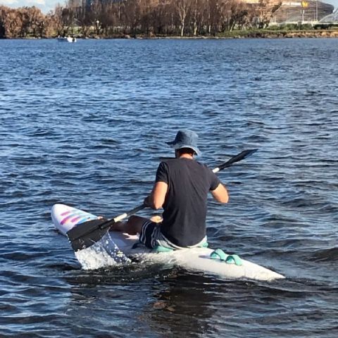 Michael_merton_lewis