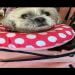 Loretta38 is Single in Cardington, Ohio, 2