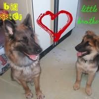 Jimbo2323 is Single in Winkler, Manitoba, 1