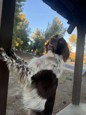 ArmyGuyC327 is Single in Dubois, Wyoming, 4