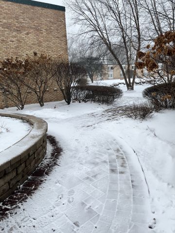 Tushanta is Single in WAUKEGAN, Illinois, 5