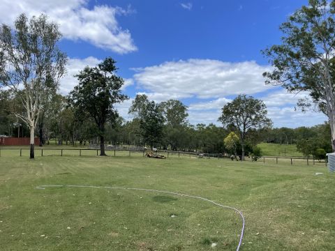 Noahsong is Single in Sunnybank hills, Queensland, 3