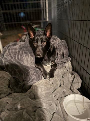 Bruvleavemealone is Single in SIMI VALLEY, California, 2