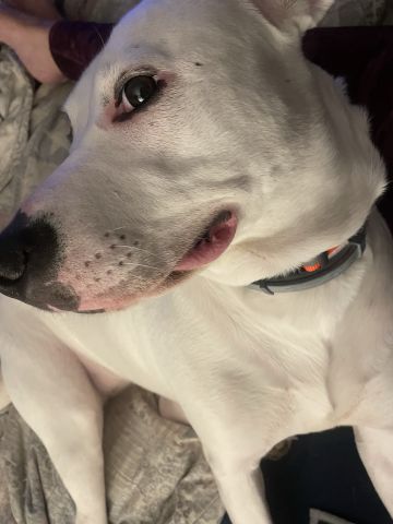 soulmate26 is Single in Philipsburg, Pennsylvania, 4