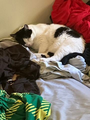 hopeful2026 is Single in Gresham, Oregon, 3