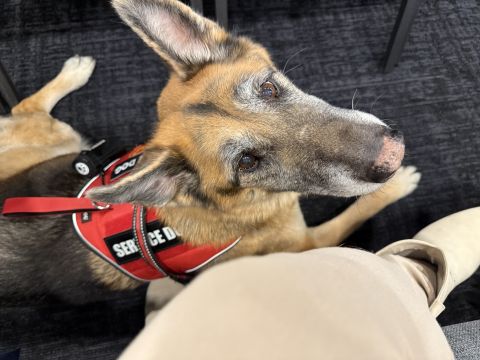 VonW is Single in LAS VEGAS, Nevada, 6