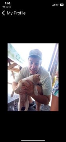 LuisNewCreation is Single in Louisville, Kentucky, 14