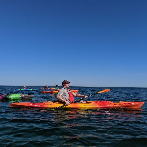 MattyM77483064 is Single in Rochester, Michigan, 2