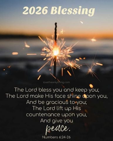 DayaB is Single in Fort Myers, Florida, 9