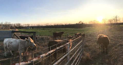 emorismith is Single in GRACEVILLE, Florida, 4