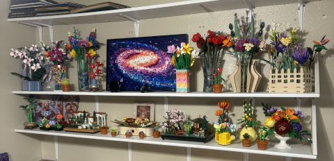 Lookingforyou66 is Single in NAMPA, Idaho, 6