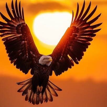 Solomon994 is Single in North Las Vegas, Nevada, 3