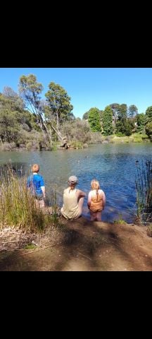 Marylea is Single in Burnie, Tasmania, 4