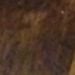 DelCarmen12 is Single in North Carolina, Vermont