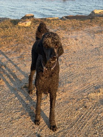 Lonnx is Single in Colorado Springs, Colorado, 3