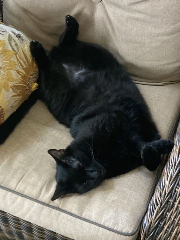 Micahiscool is Single in Lizton, Indiana, 3