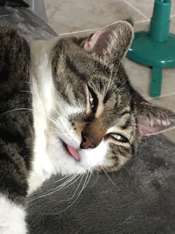 veedubya is Single in East Valley, Arizona, 4