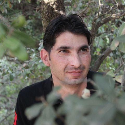 Francies is Single in Windsor, Ontario, 4