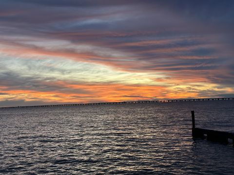 M4jc is Single in Metairie, Louisiana, 2