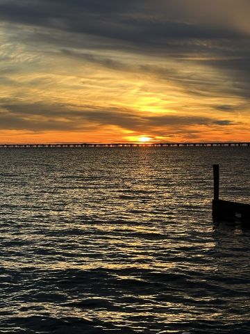 M4jc is Single in Metairie, Louisiana, 3