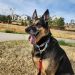 ItsAnn is Single in Aurora, Colorado, 3
