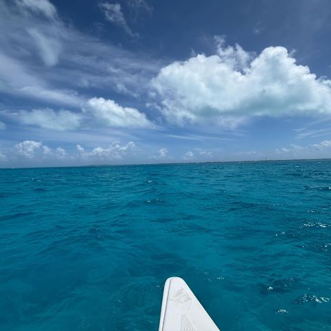 Brenmizer is Single in Kansas City, Kansas, 2