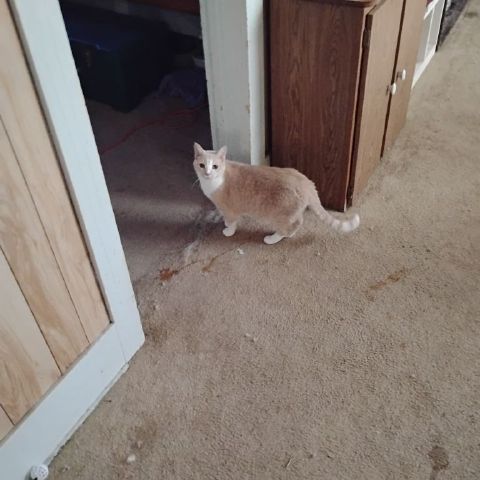 Dave610 is Single in Geneva, Nebraska, 5