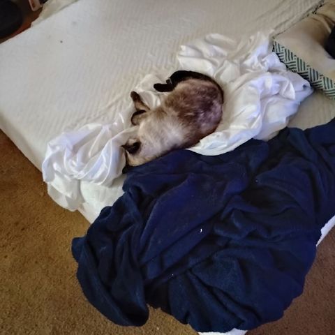 Dave610 is Single in Geneva, Nebraska, 6