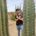 Rolando945 is Single in Sogamoso, Boyaca, 1