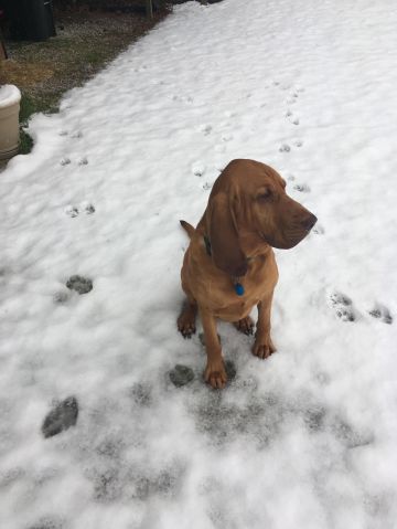 Davidd5 is Single in Preston, Mississippi, 5