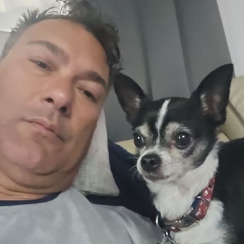 Wernier is Single in Bethel Park, Pennsylvania, 6