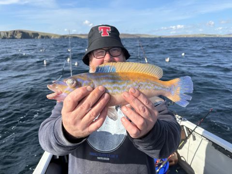 Mrhaggis is Single in Shetland, Scotland, 2