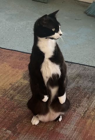 PalmBreezes is Single in Port St Lucie, Florida, 4