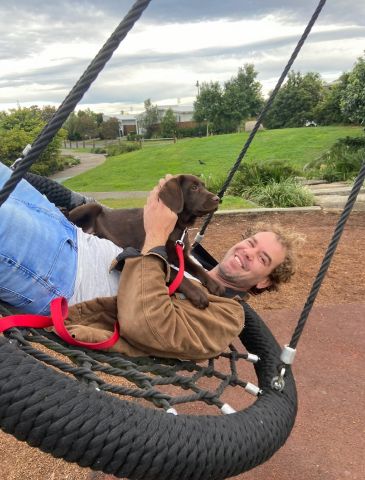 ScottyMillar88 is Single in Sunshine Coast, Queensland, 2