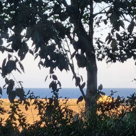 Paulawhiteman is Single in St Andrews, Scotland, 2