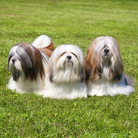 AnnaH9201 is Single in Jersey City, New Jersey, 2